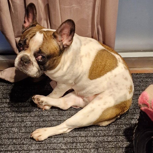 Fra smerte til glede- Lilo Holly fikk livet tilbake med laserbehandling